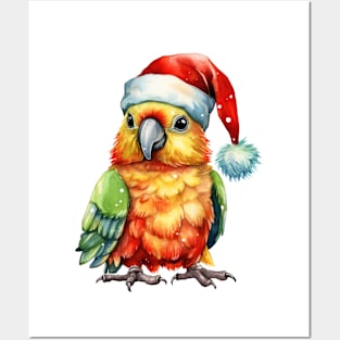 Christmas Parrot Posters and Art